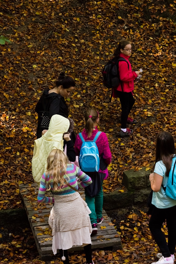 1011891825blesniskola-003