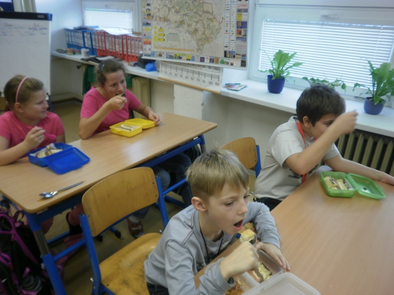 101293103pb210037-800x600