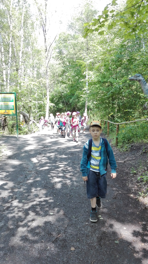 10802863img20170605113713