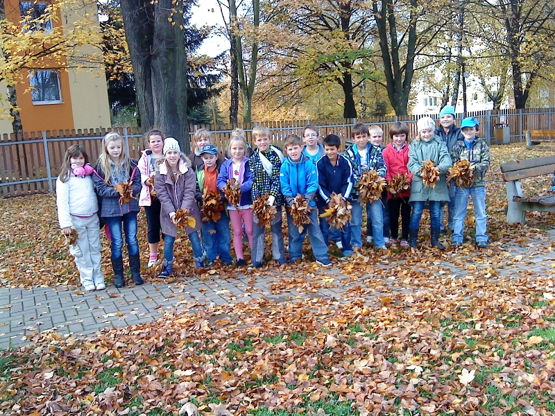 1143678083cfotkyi-024