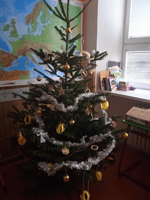 IMG_20211214_130240 (2).jpg