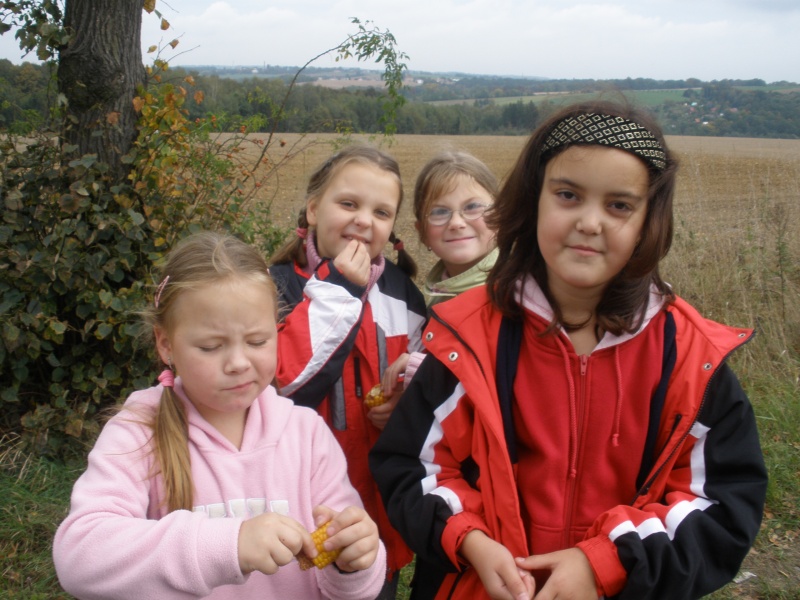 16592952220090311074324