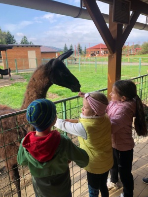 a417780d-373e-4e8d-b5db-cc96bf68d5e0 (2).jpg