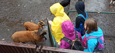 IMG_20220930_120643 (2).jpg