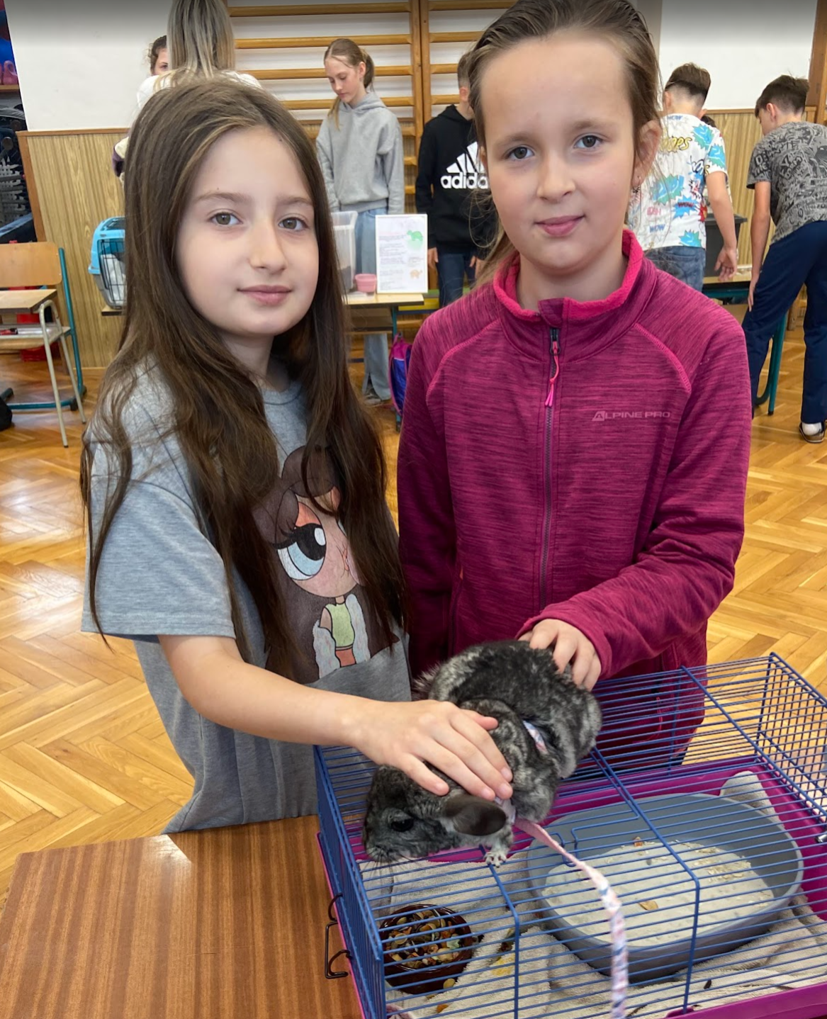 Snímek obrazovky 2025-06-15 180046.png