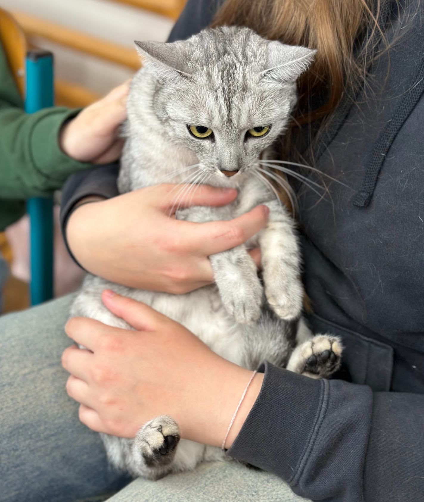 Snímek obrazovky 2025-06-15 180556.png