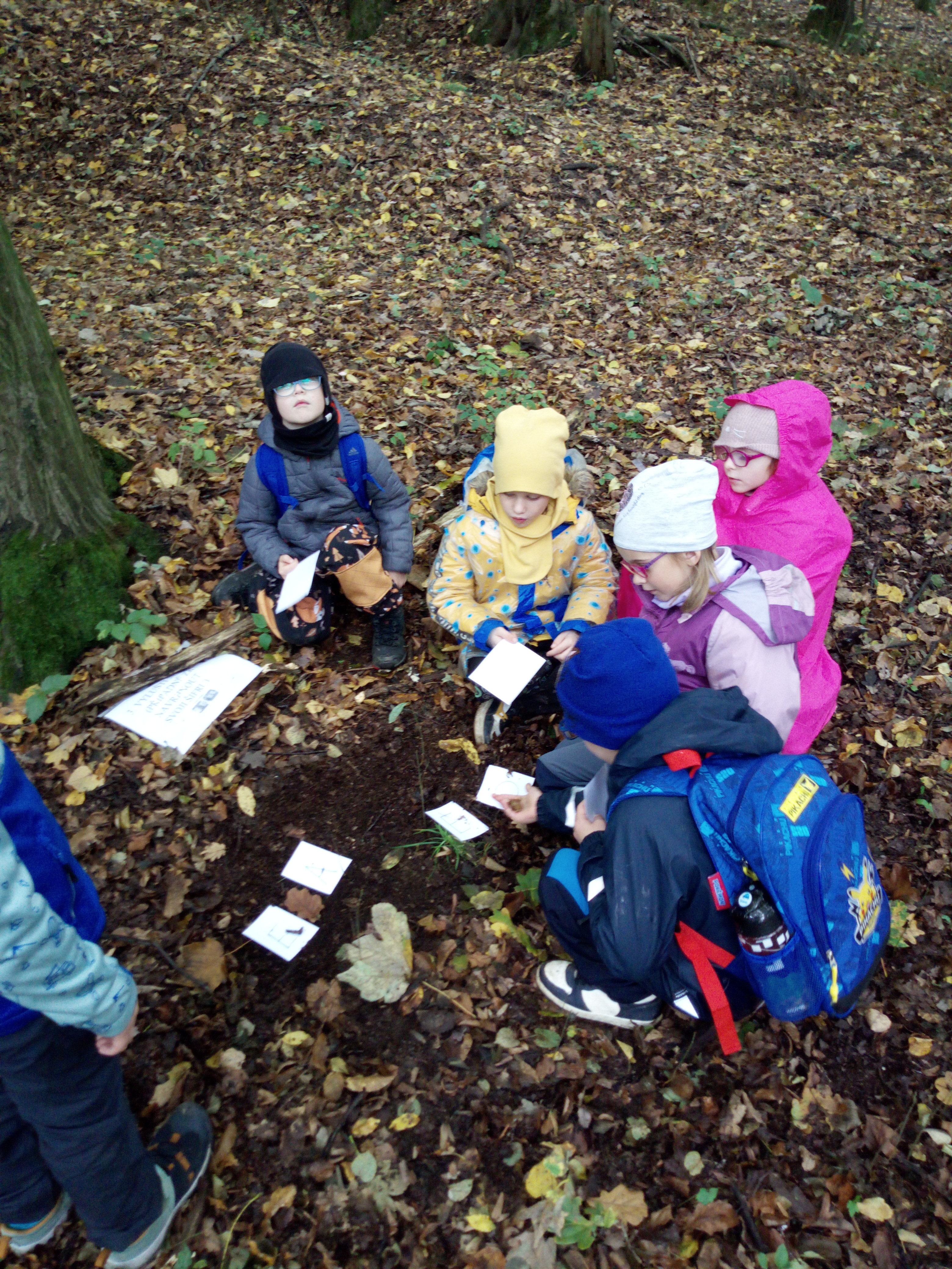 1. náhledová fotka.jpg