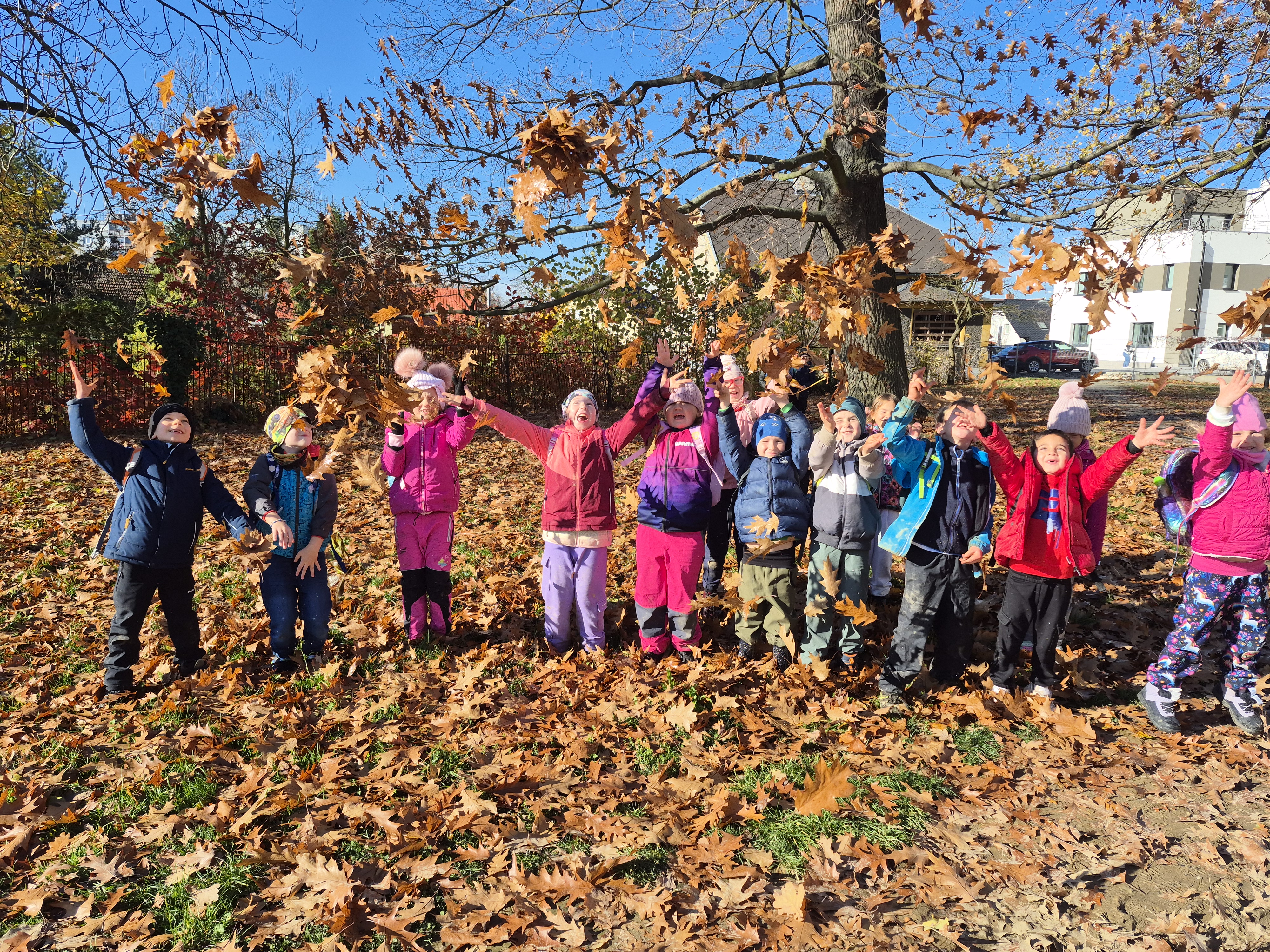 1. Náhledové foto.jpg