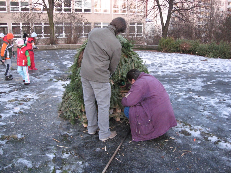 2525588820080110175905