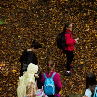 1011891825blesniskola-003