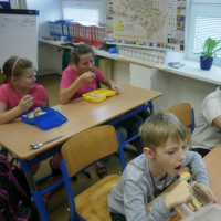 101293103pb210037-800x600