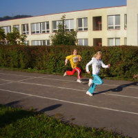 104147306vsetin2010-001-2