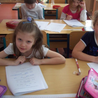 10532806zelenina-226