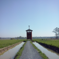 107905388cam00842