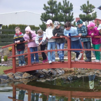 116140690zelenina-311