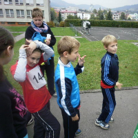 119661825vsetin17