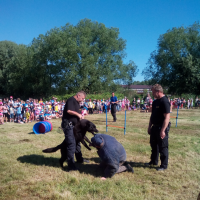 128580598img20170601092202