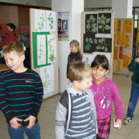 1345753snv17603