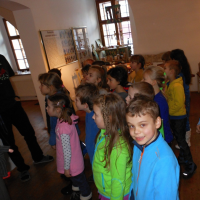 143208522dscn6793