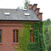 148194449dsc1382