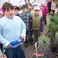 148562741zelenina-273