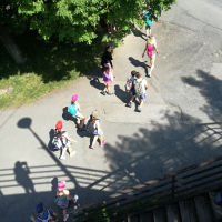 IMG_20170621_095420.jpg
