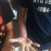 20170515_140106.jpg