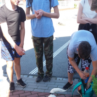 20170601_094556.jpg