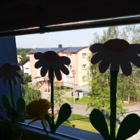 20170601_091232.jpg