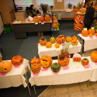 DSC_1119.jpg