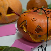 DSCF4640.jpg