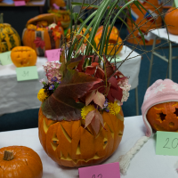 DSCF4643.jpg