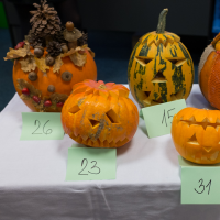 DSCF4650.jpg