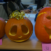 DSCF4656.jpg