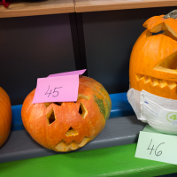 DSCF4663.jpg