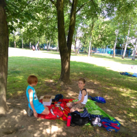 IMG_20170627_103131.jpg