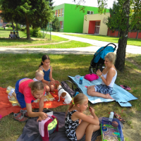 IMG_20170627_103356.jpg