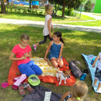 IMG_20170627_103441.jpg