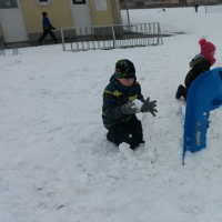 20180216_114527.jpg