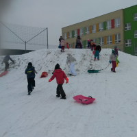 20180216_110759.jpg