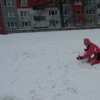 20180216_111201.jpg