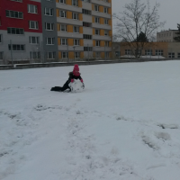 20180216_111203.jpg