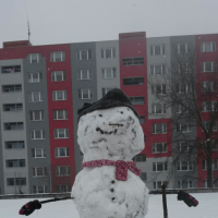 20180216_114215.jpg