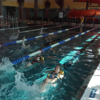 20180322_101434.jpg