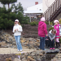 152396866zelenina-316