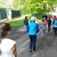 20180424_094824.jpg