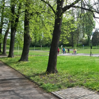 20180424_095323.jpg