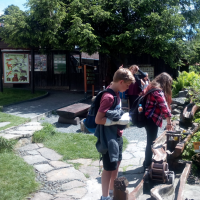 IMG_20180521_120841.jpg
