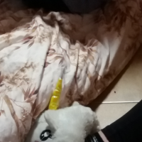 20180517_190505.jpg