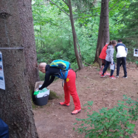 20180515_105229.jpg